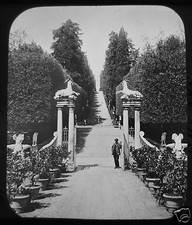 Glass Magic Lantern Slide