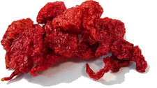PEPERONCINO CAROLINA REAPER