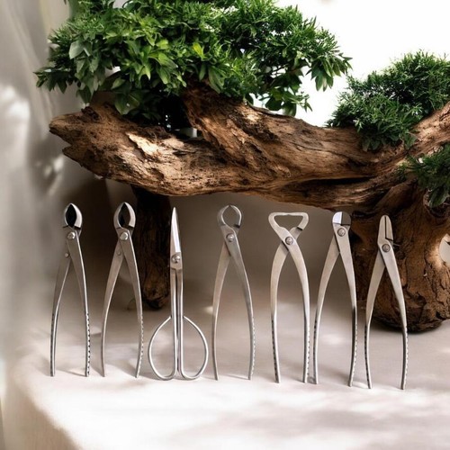 Set attrezzi per bonsai 7pz - attrezzi,