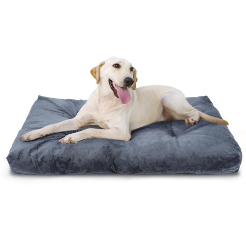 Cuscino per cani taglia grande - cani,