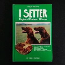 AMELIA MURANTE - I SETTER INGLESE IRLANDESE GORDON - DE VECCHI - ALLEVAMENTO