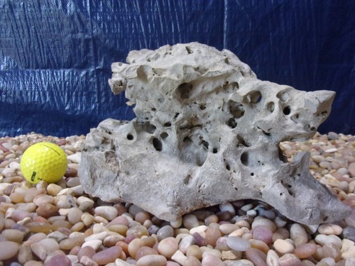 Texas holey rock - texas/tn,
