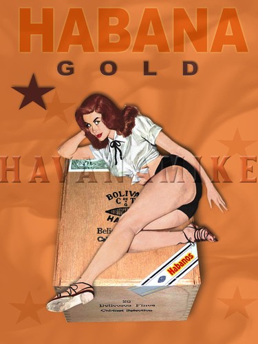 Poster pinup stampa artistica