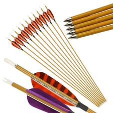 Freccia in carbonio 31" SP900