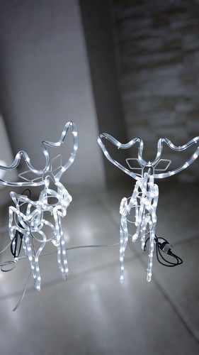 Coppia renne luminose - coppia, di