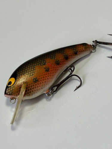 Daiwa balsamac a - daiwa,