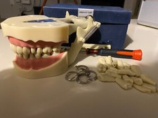 Frasaco Restorative Adult
