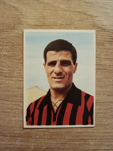 1966 imperia calciatori - 1966-67,