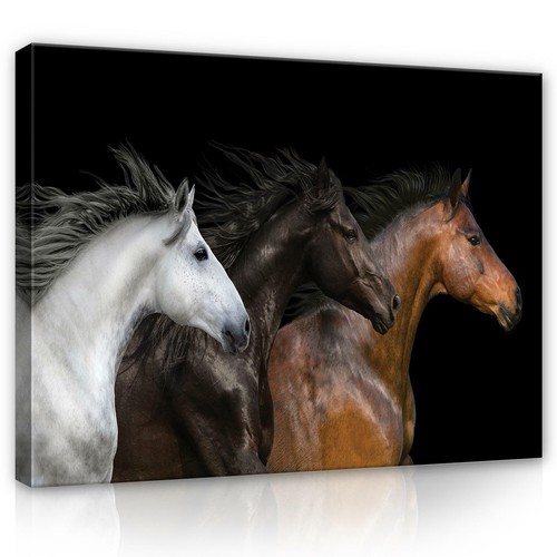 Quadri tela canvas - quadri, su