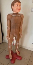 Corpo Umano Rba 2025 Completo