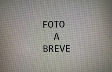 VESPA GS 150 VS5T CONVOGLIATORE ARIA MOTORE CHIOCCIOLA APE FARO BASSO VL VB1 125