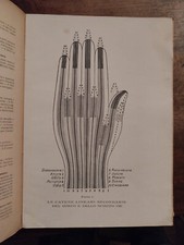 CALLIGARIS Giuseppe, Le catene