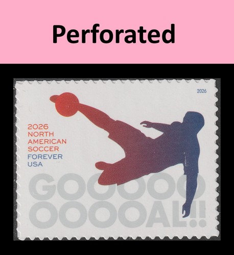 6105 north american soccer - us,