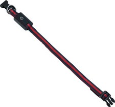 Cane Tierzubehör LED Collare