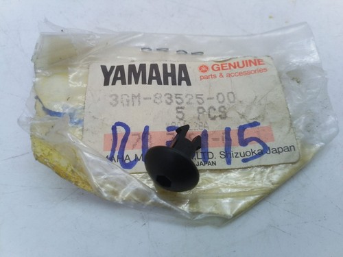 Yamaha fzr 600 clip - yamaha,