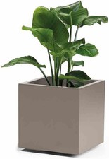 EURO 3 PLAST Cassetta Kebe, con Riserva d'Acqua Integrata, Cm 40, Colore Tortora