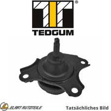 IL SUPPORTO, IL SUPPORTO