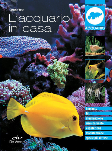 Acquario casa impianto - l'acquario,