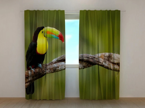 Tende tucano sul ramo - tucano,