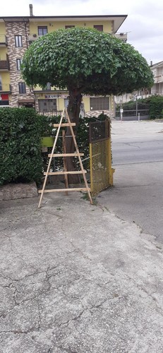 Scale legno per - scale, in