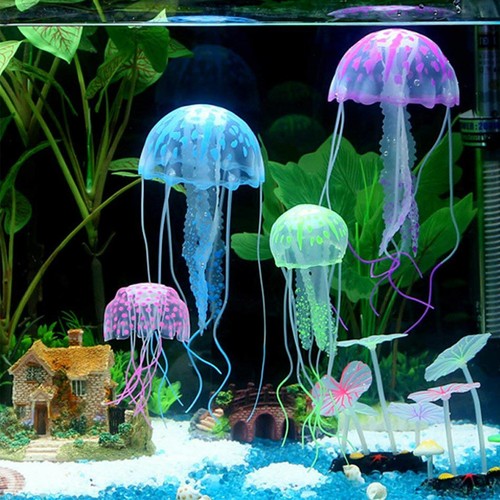 Confezioni set acquario - 6",