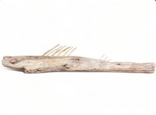 Scultura  Naturale Pesce Legno