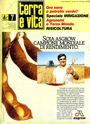 Terra vita n - e, del