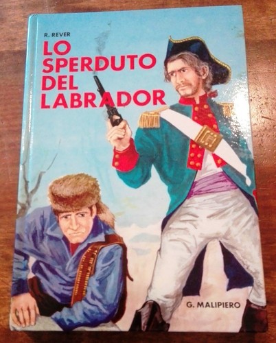 Sperduto del labrador - lo,