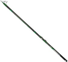 Canna Bolognese Artistic