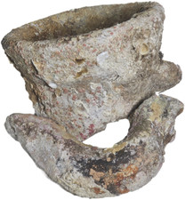 2 Parti 'Antica Grande Anfora