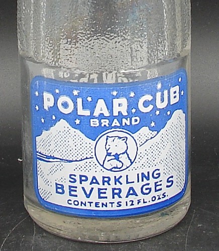 Polar cub snow - snow, crest