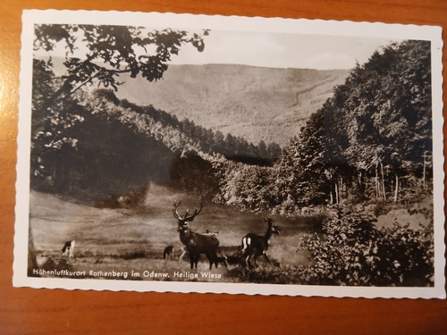 Cartolina 3226 non viaggiata