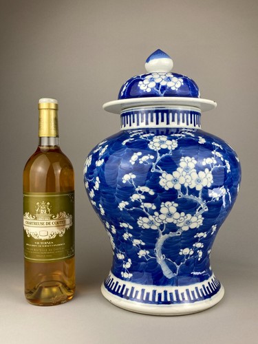 Grande vaso prunus bianco - prunus,