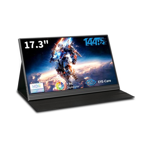 Monitor portatile - monitor, 17.3''