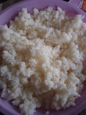 fermenti lattici vivi yogurt