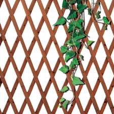 Traliccio Rete Estensibile In Legno Scuro Parete Giardino Piante varie misure