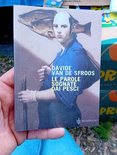 Davide van sfroos parole - van,