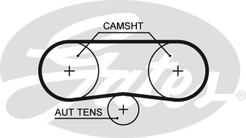 Cinghia distribuzione
