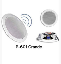 Recessed speaker with springs