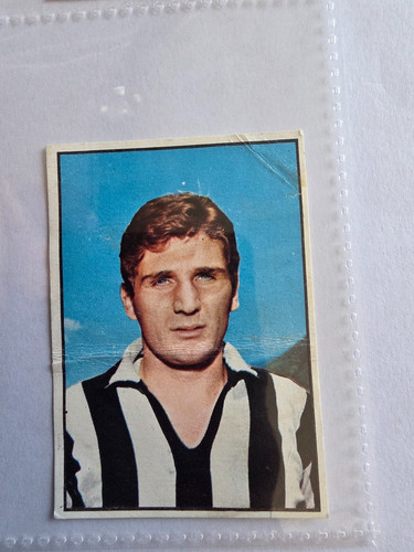 Figurina calciatori panini - figurina,