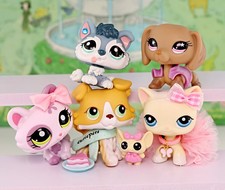 5 pezzi mini negozio di