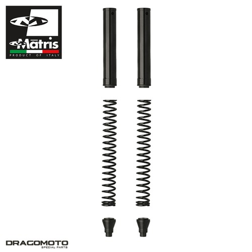 Kit forcella bmw - kit, 800