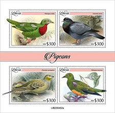 PICCIONI uccellini piccione