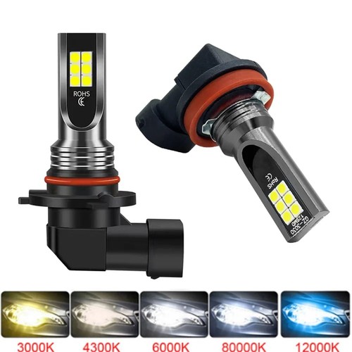 Lampadine fendinebbia led - lampadine,