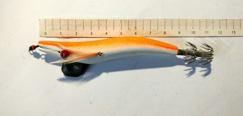 Zuri oita egi painted - yo-zuri, squid