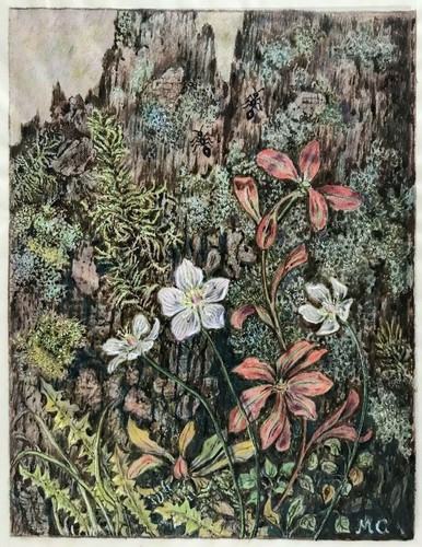 Acquerello tecnica mischia