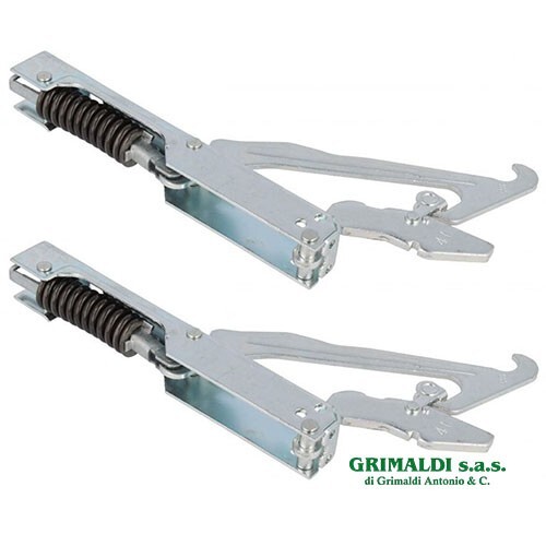 Coppia cerniere molle porta - coppia,