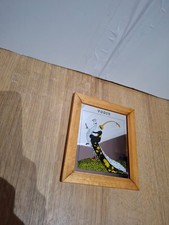 Specchio pubblicitario della