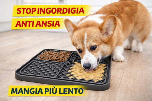 Ciotola slow feeder - slow, cane