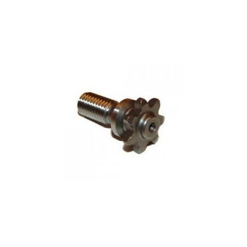 Pignone minimoto motore polini - pignone,